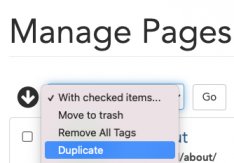 The duplicate page dropdown UI